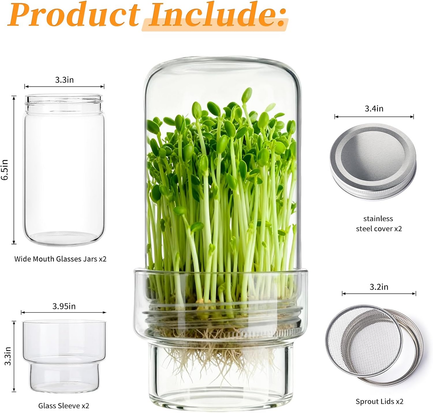 Updated Sprouting Kit -Sprouting Jar Kits