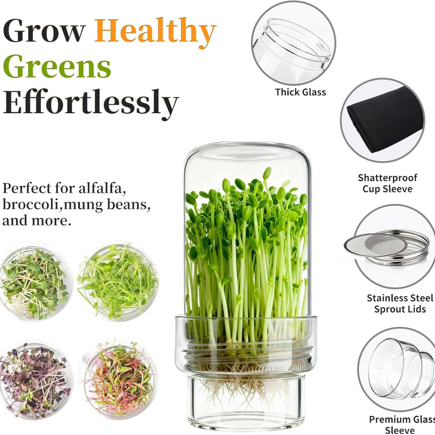 Updated Sprouting Kit -Sprouting Jar Kits