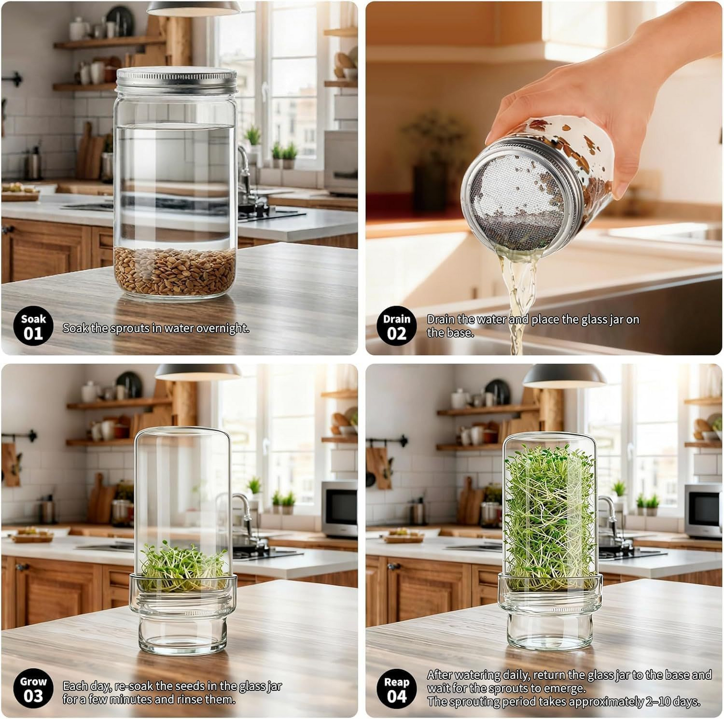 Updated Sprouting Kit -Sprouting Jar Kits