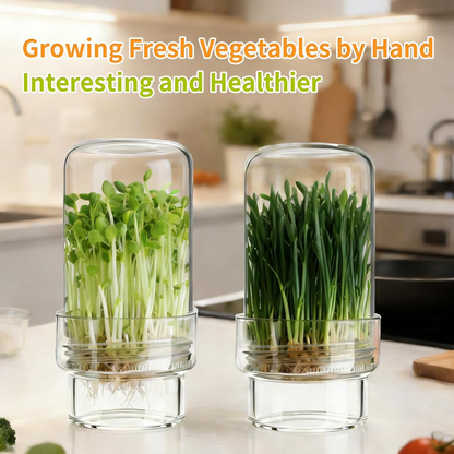 Updated Sprouting Kit -Sprouting Jar Kits