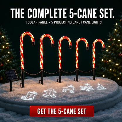 🎄Solar Candy Cane Pathway Lights – Light the Way to Christmas
