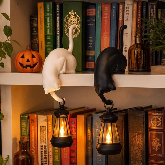 🔥Last Day 50% OFF 🐾Cat Shelf Hook with Vintage Lantern