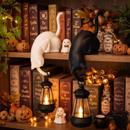 🔥Last Day 50% OFF 🐾Cat Shelf Hook with Vintage Lantern