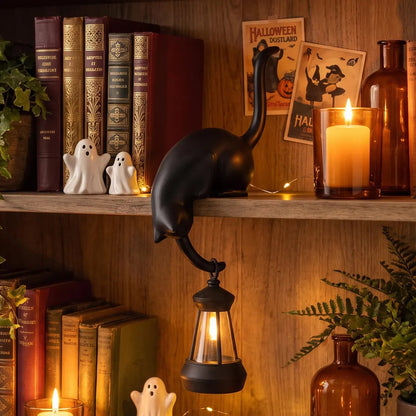 🔥Last Day 50% OFF 🐾Cat Shelf Hook with Vintage Lantern