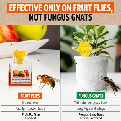 🔥LAST DAY 49% OFF - Ultra-Strong Fruit Fly Trap - User Friendly (Up to 3 Weeks per Bottle)